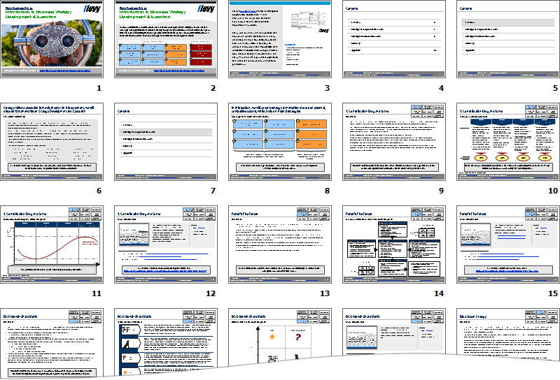 Free Download Strategy Development Strategy Execution Primer