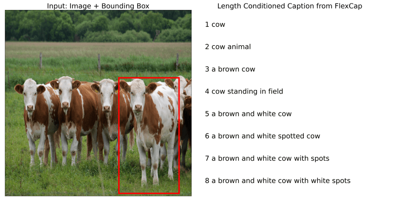 Free Cap Read Description - Best Light Patterns in HD