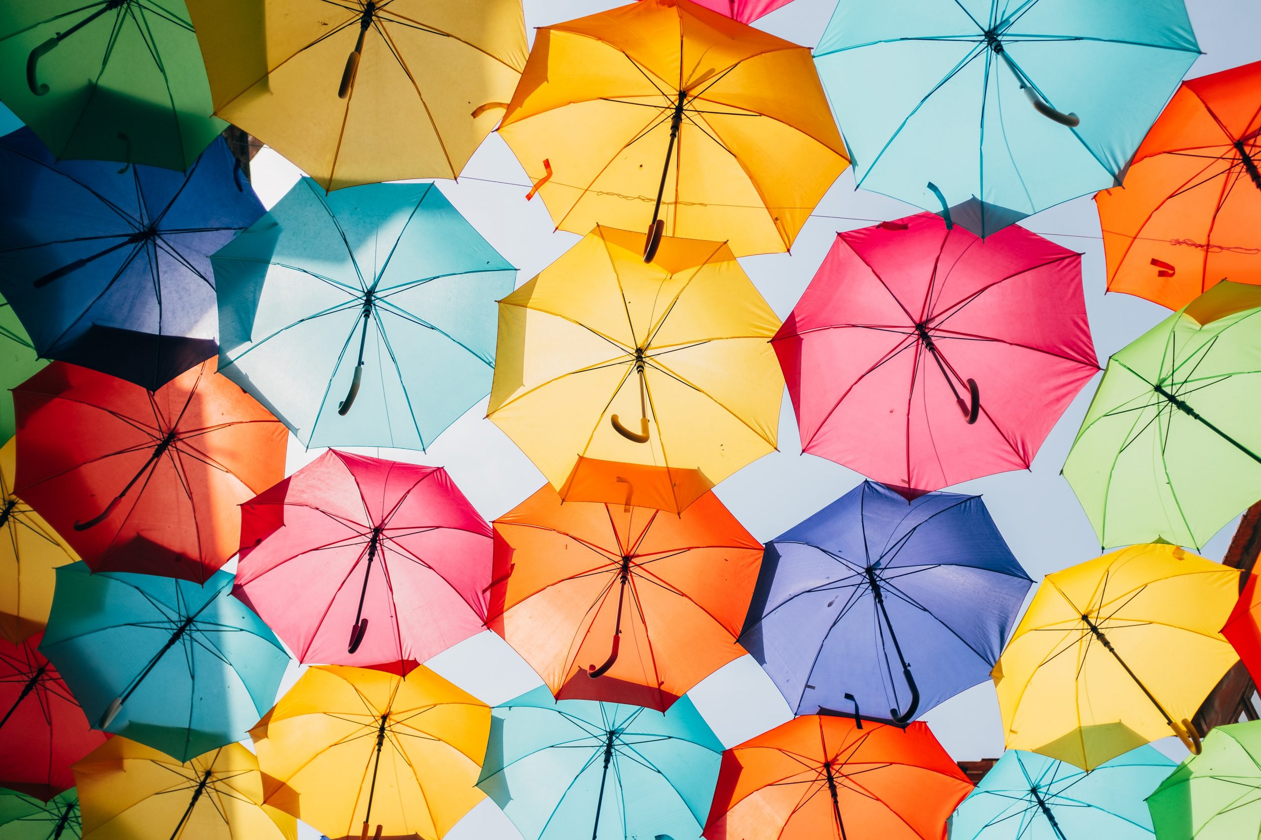 L’évolution du parapluie