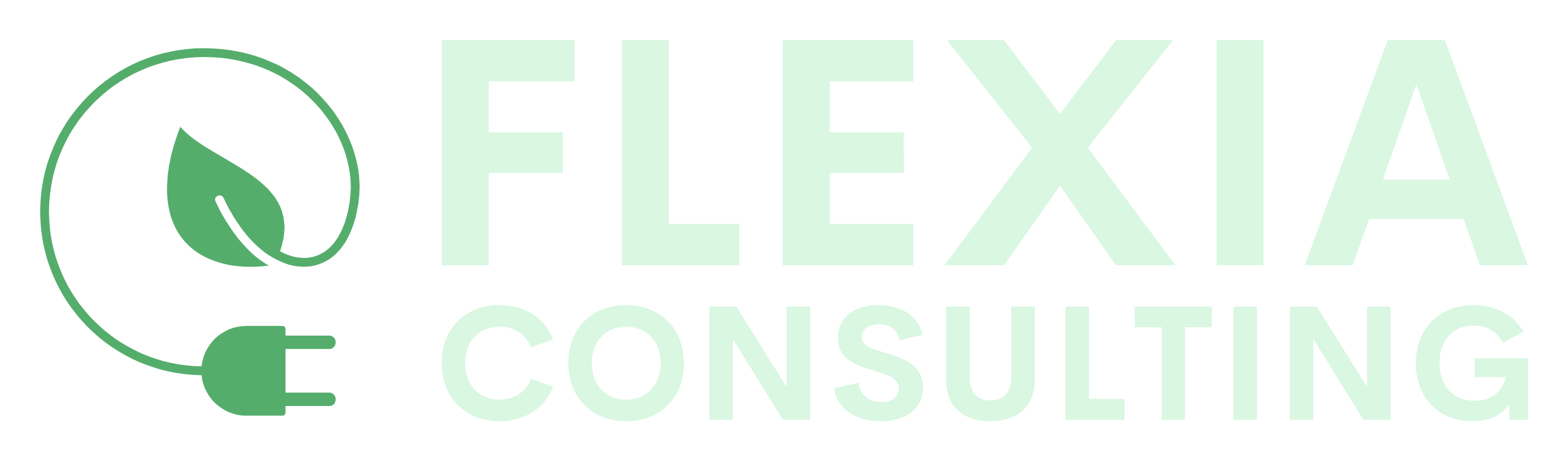 Flexia Consulting
