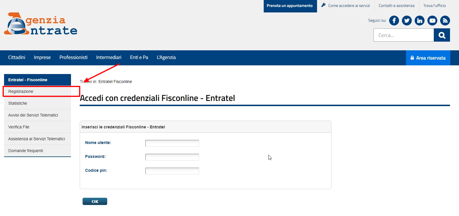 Guida Registrazione Fisconline, Tutti I Passaggi Da Effettuare - Flextax.it 747_x_1584_png
