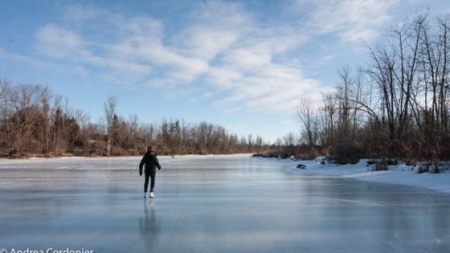 Frozen