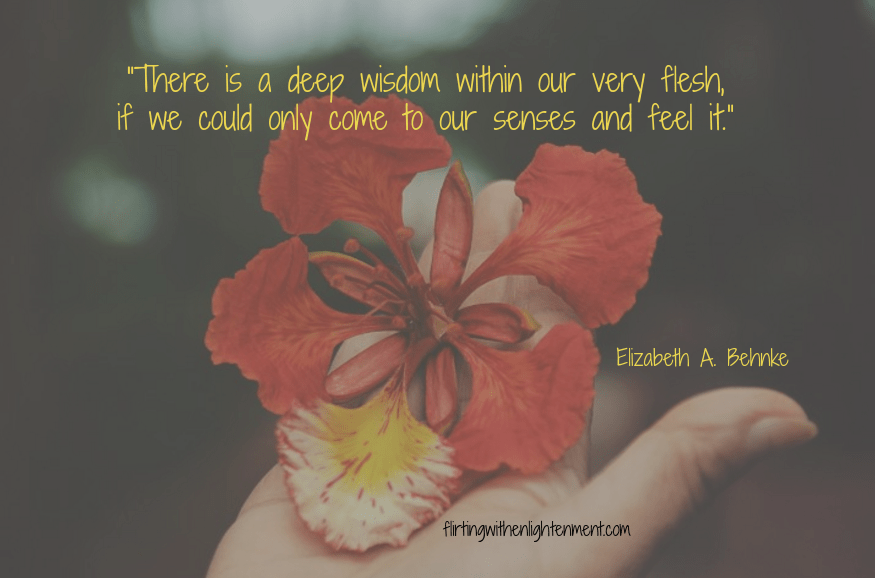 root and sacral chakra, podcast, flower, wellbeing, balance