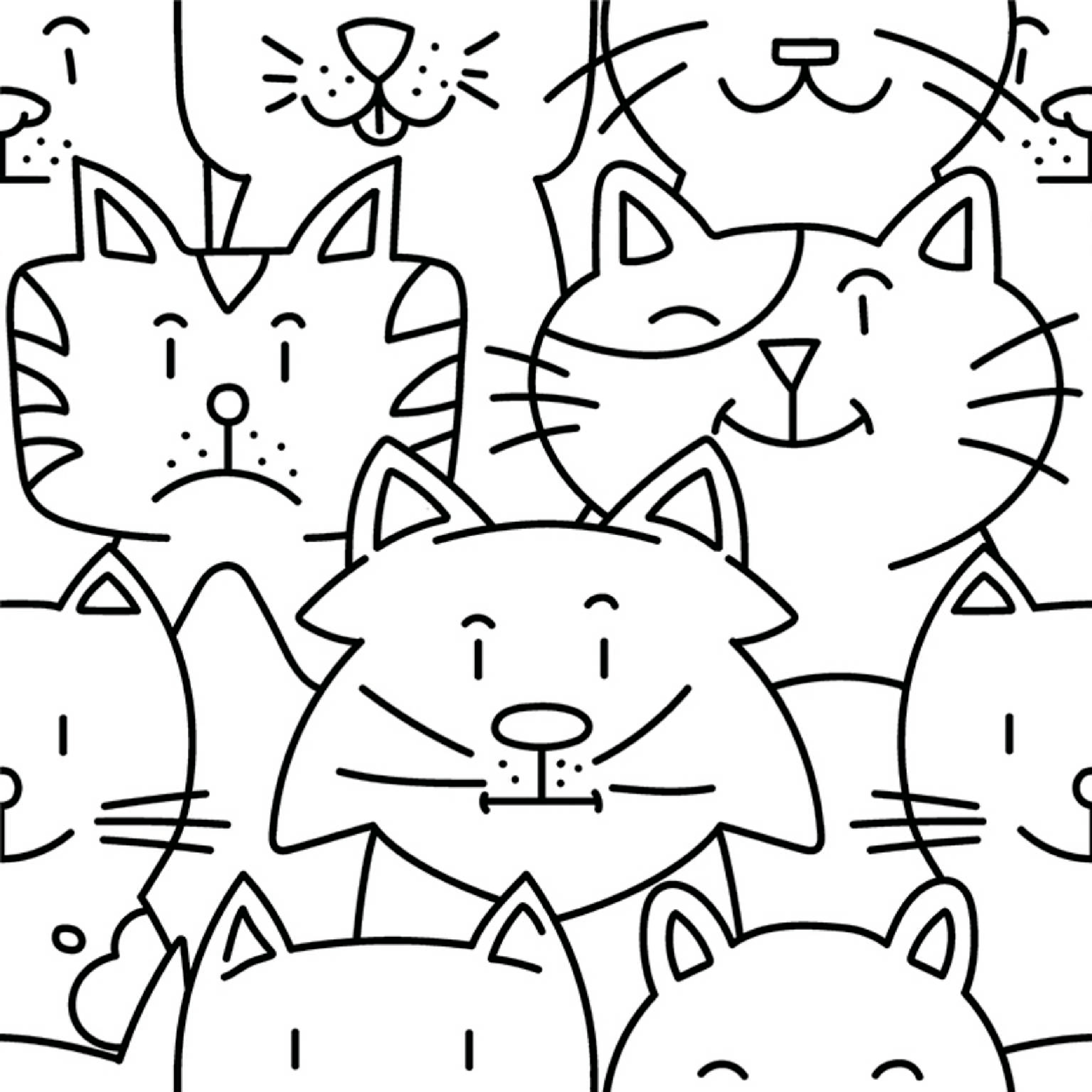 Oh My Cat