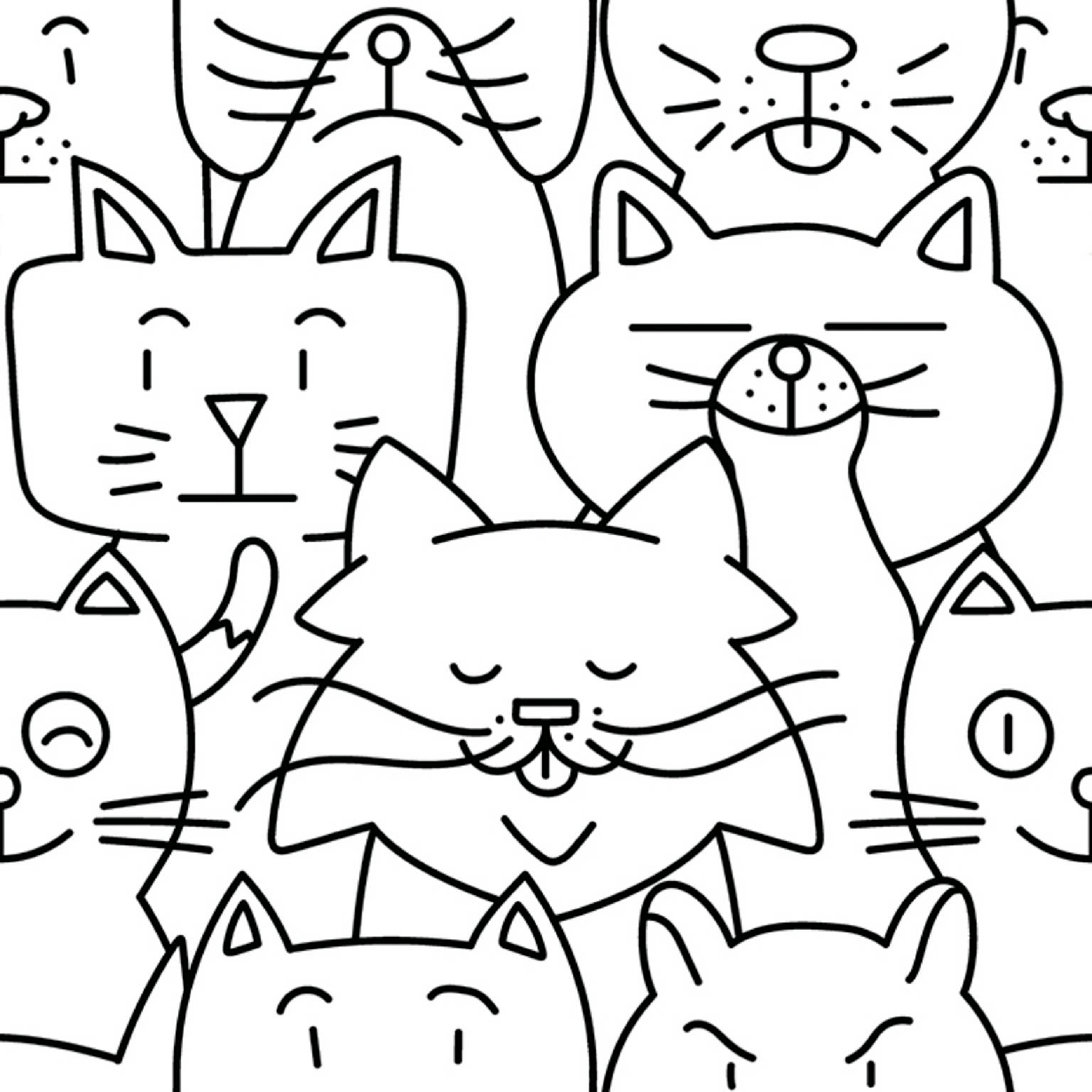 codicer oh my cat
