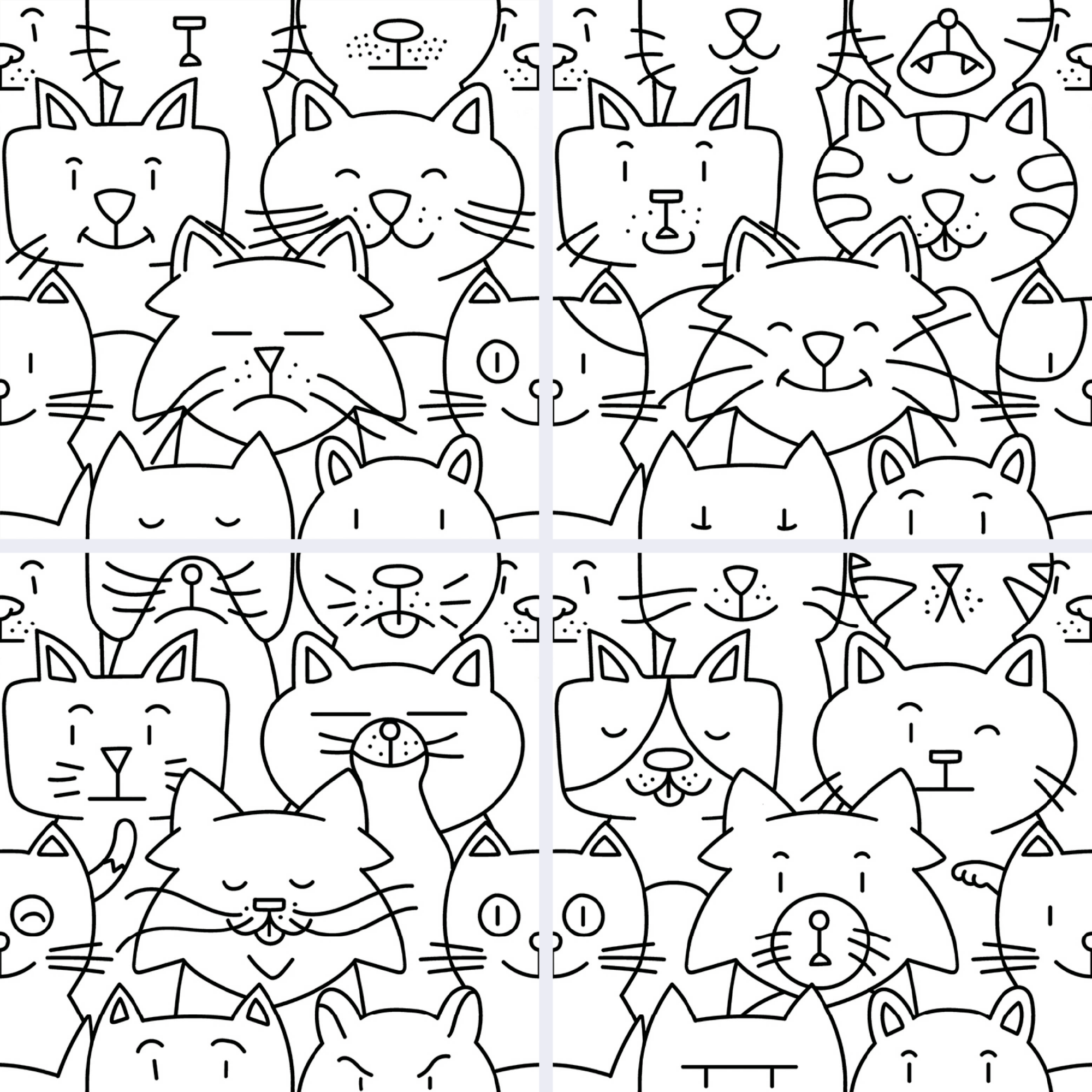 codicer oh my cat