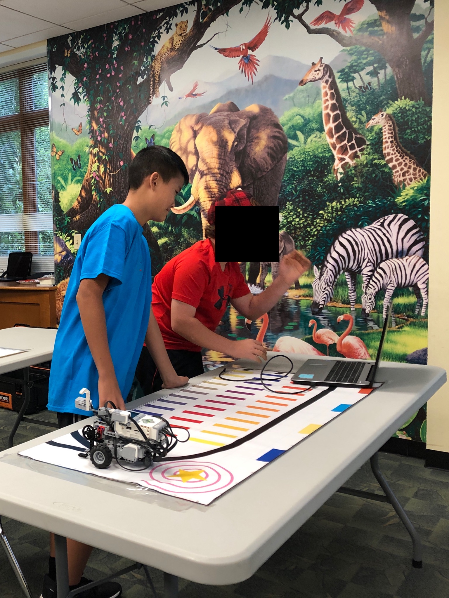 Following a black line