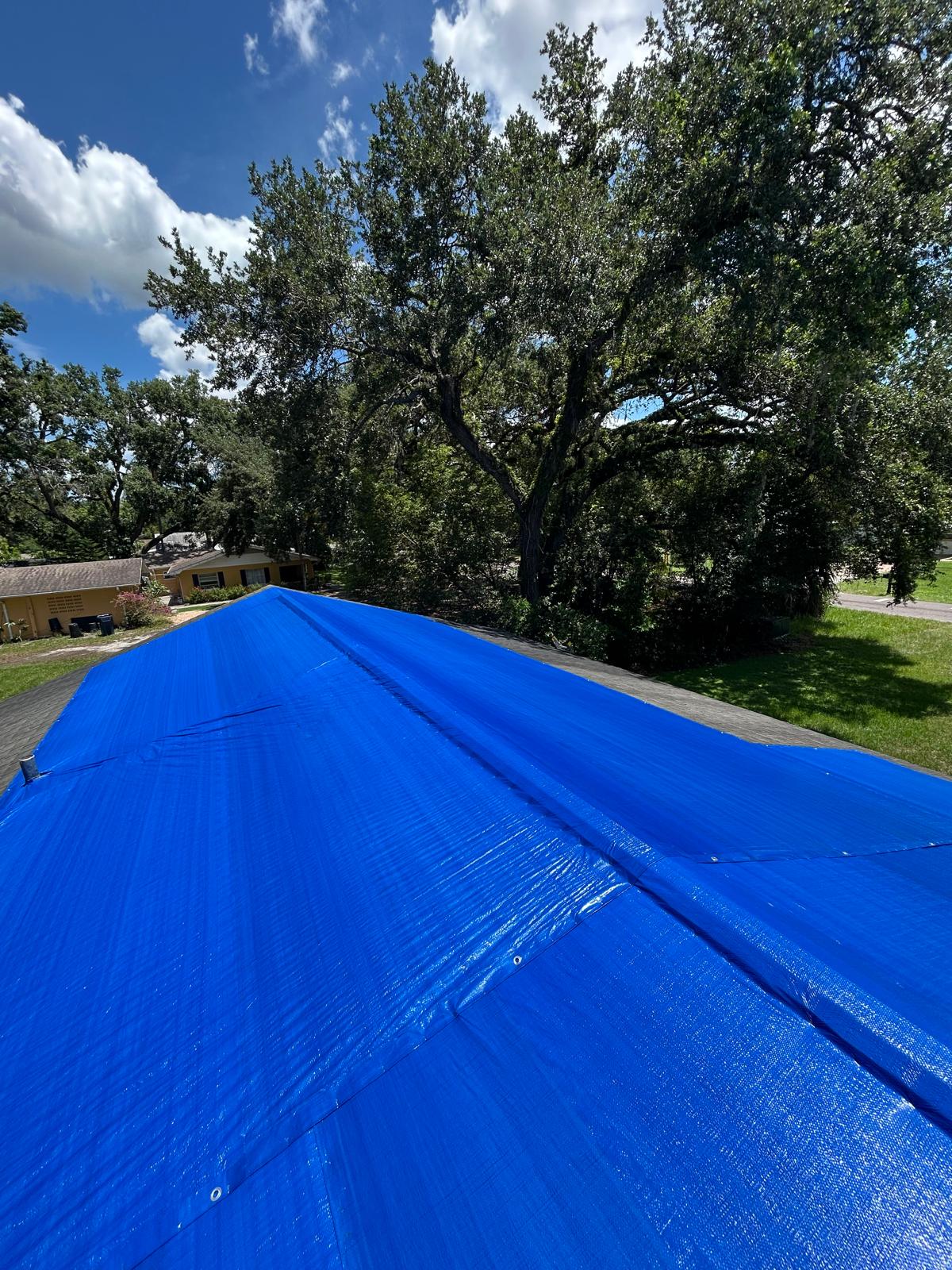 Secure blue tarp installation on roof ridge to stop rain leaks in Florida home