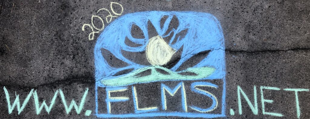 FLMS chalk drawing