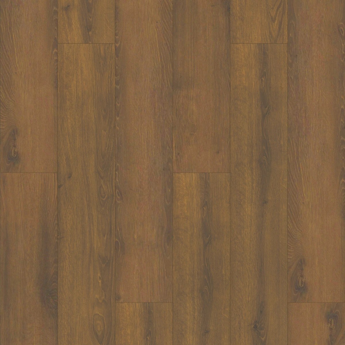 Autumn Oak