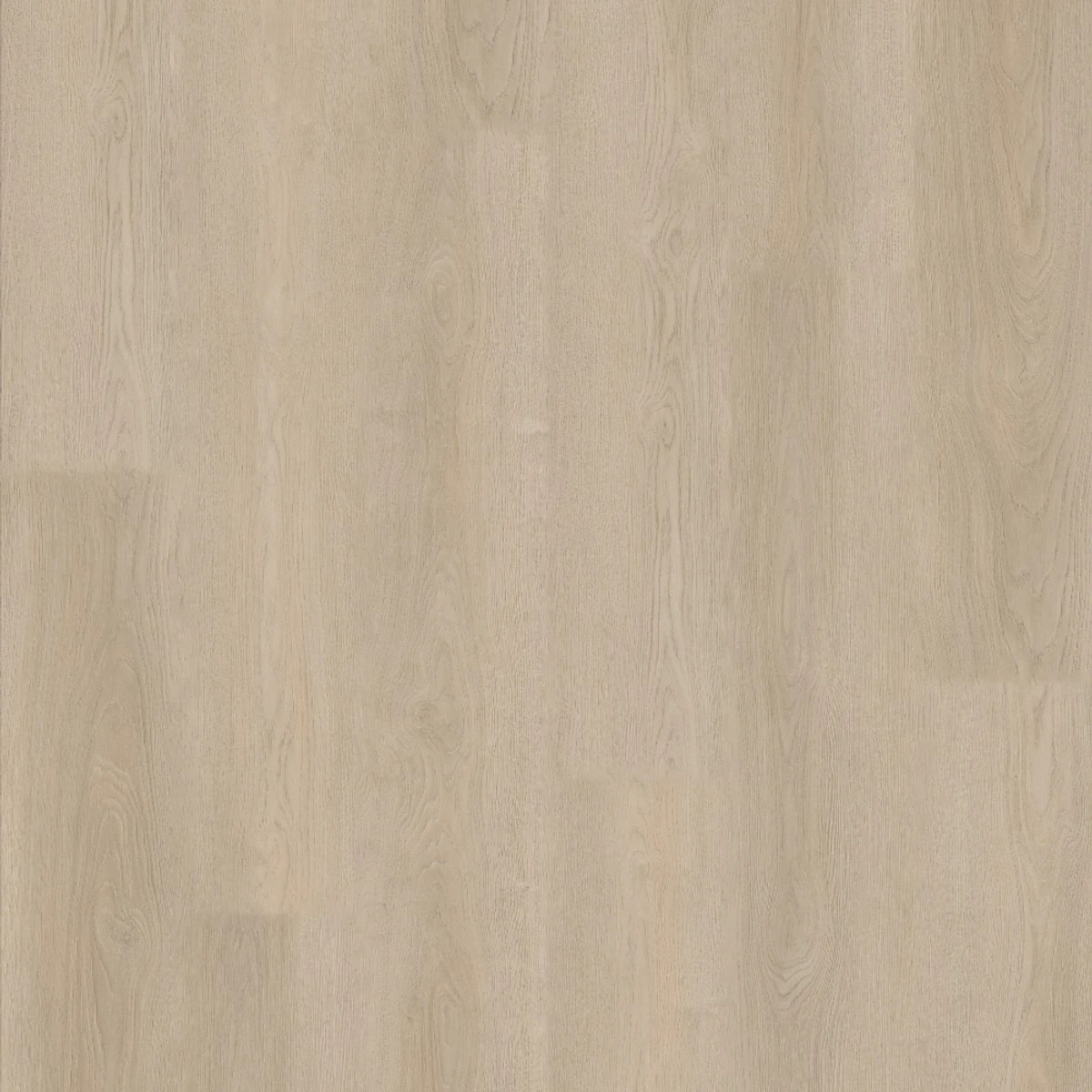 Balanced Oak