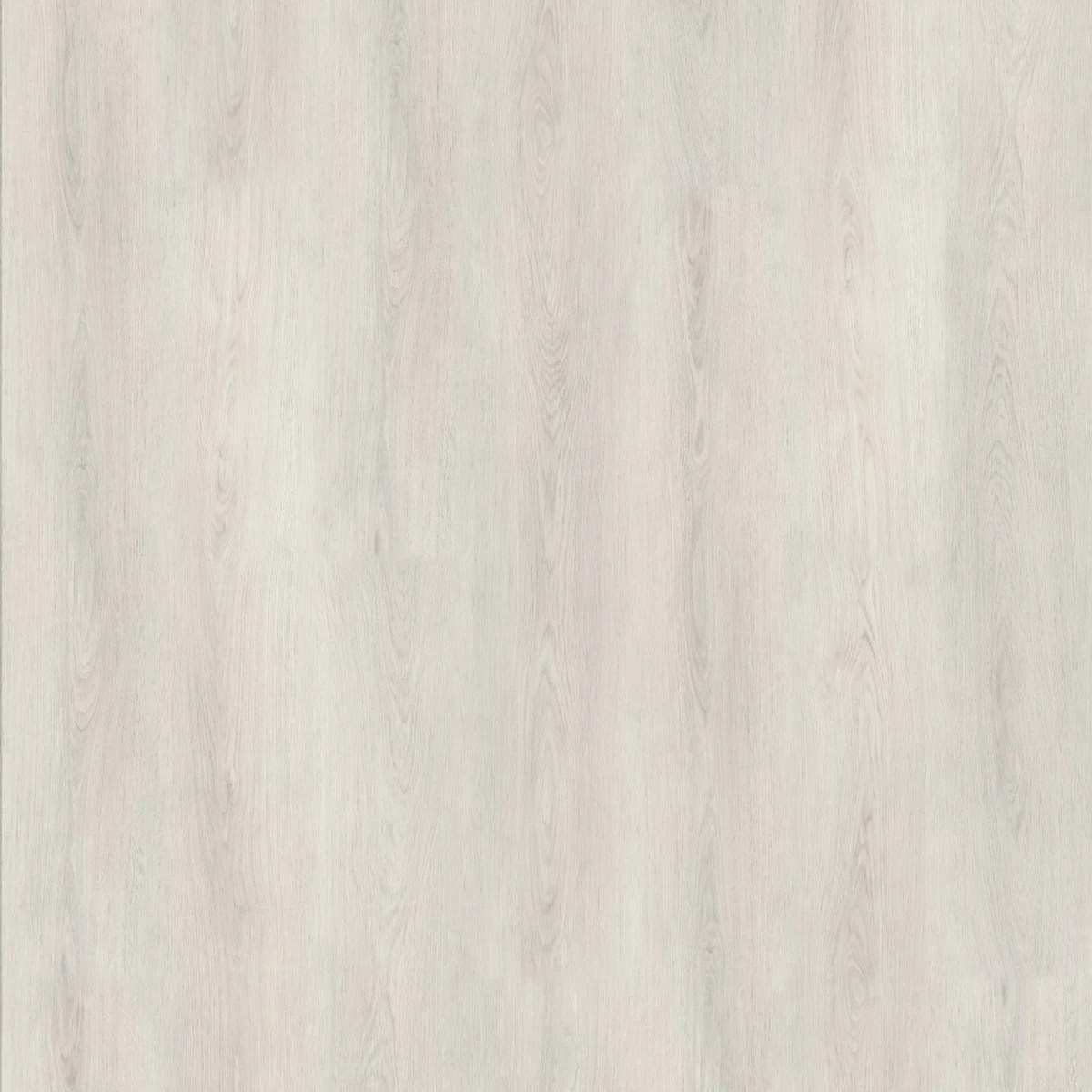 Blass Gray