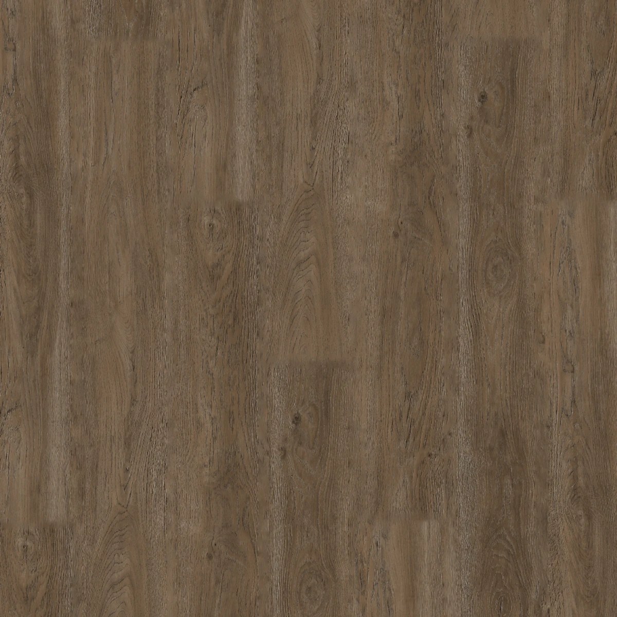 Cappuccino Oak