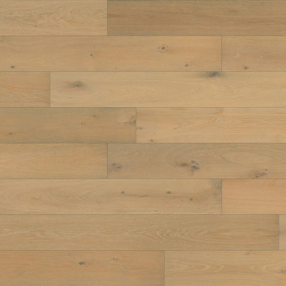 Capri Engineered Hardwood swatch