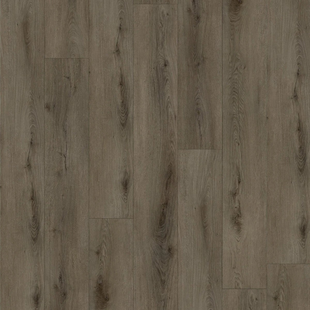 Cedar SPC Rigid-Core Plank swatch
