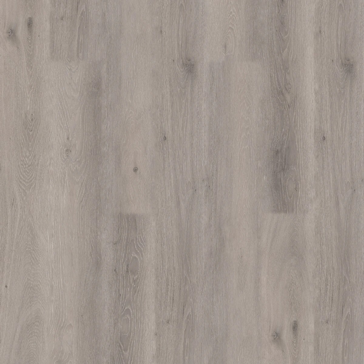 Metal Gray
