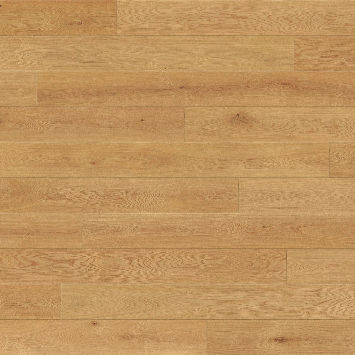 Modena Engineered Hardwood swatch