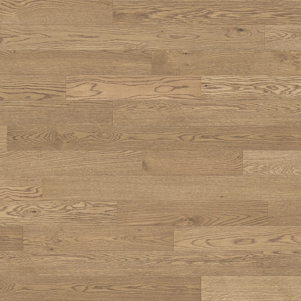 Praline Engineered Hardwood swatch