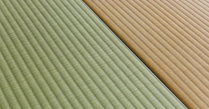 新しい緑色の天然い草と飴色へ変化した畳表の比較