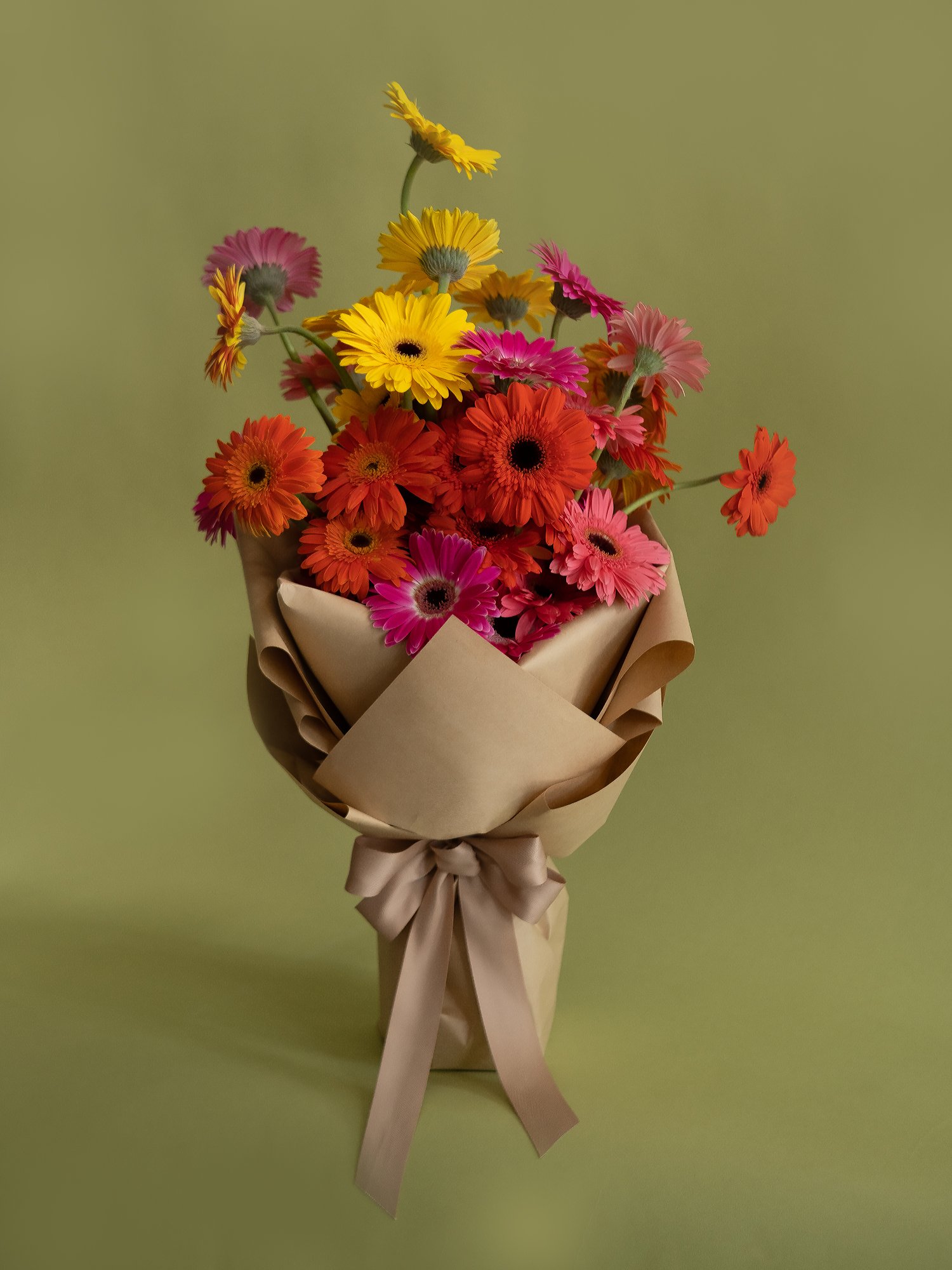 Daisy Bright En Masse - Floral Magic
