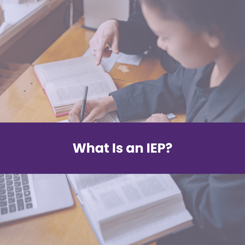 what is an iep