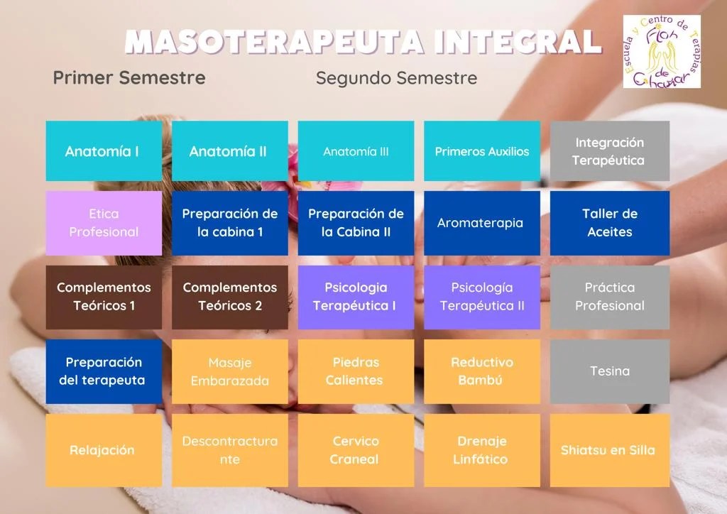 Programa completo de Masoterapia profesional