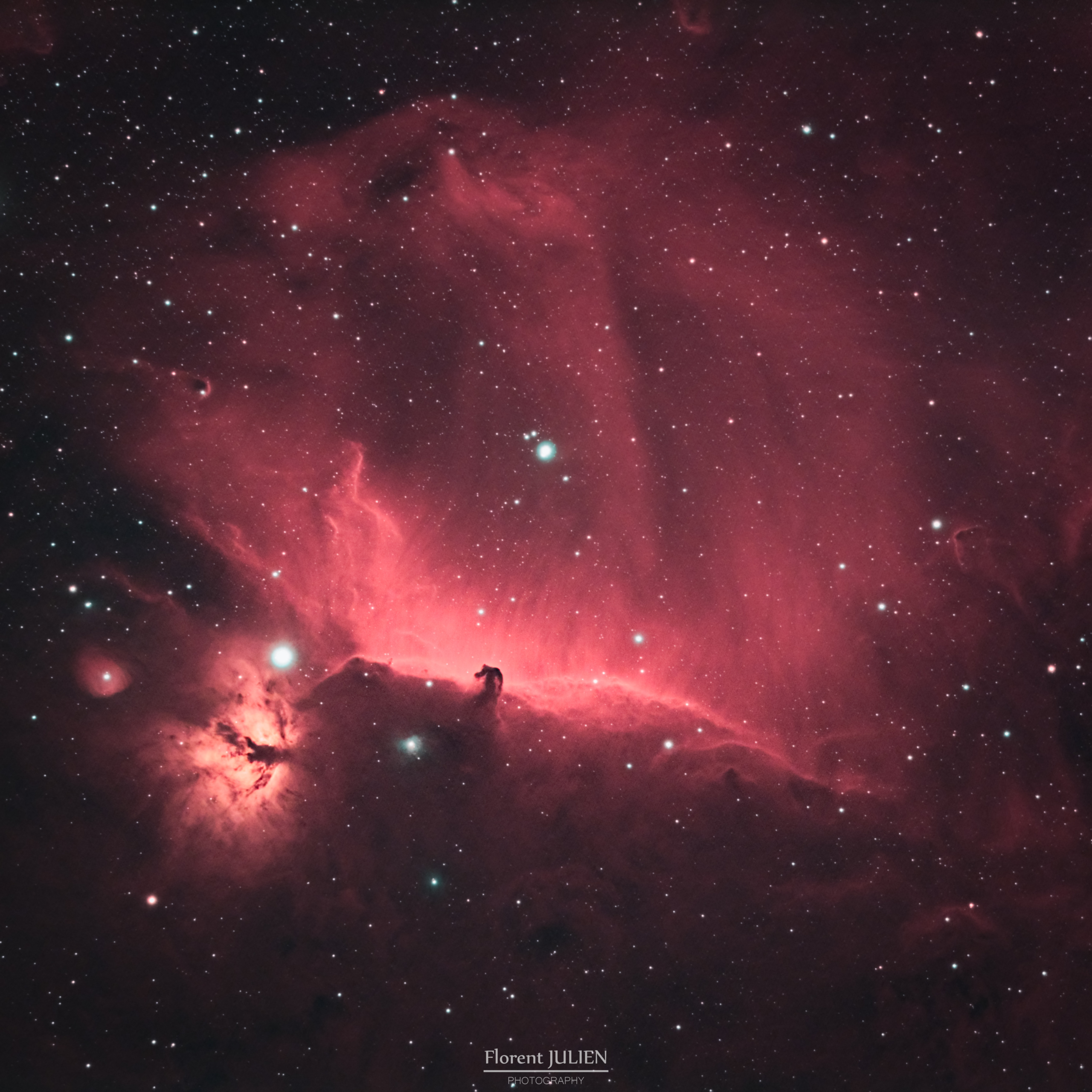 IC 434 - La nébuleuse de la tête de cheval