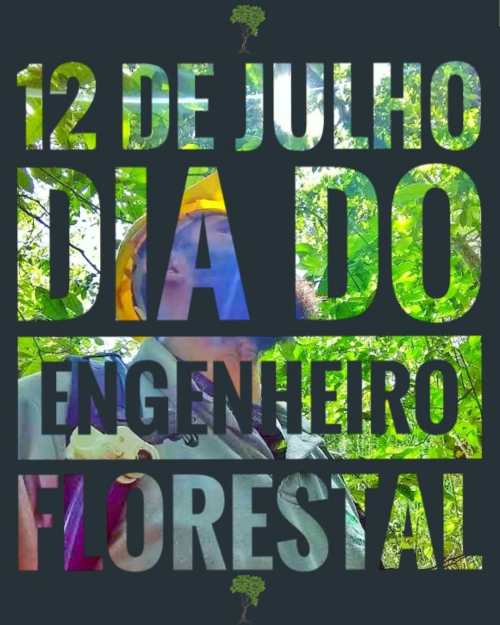 12 de Julho dia do Engenheiro Florestal