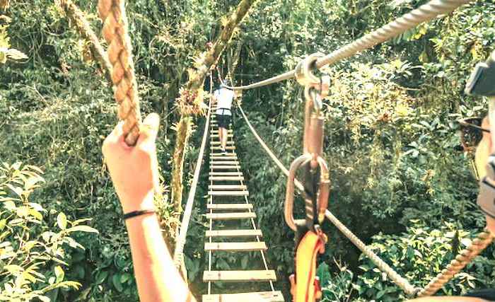 Ecoturismo na Mata Atlântica é simbolo de sustentabilidade