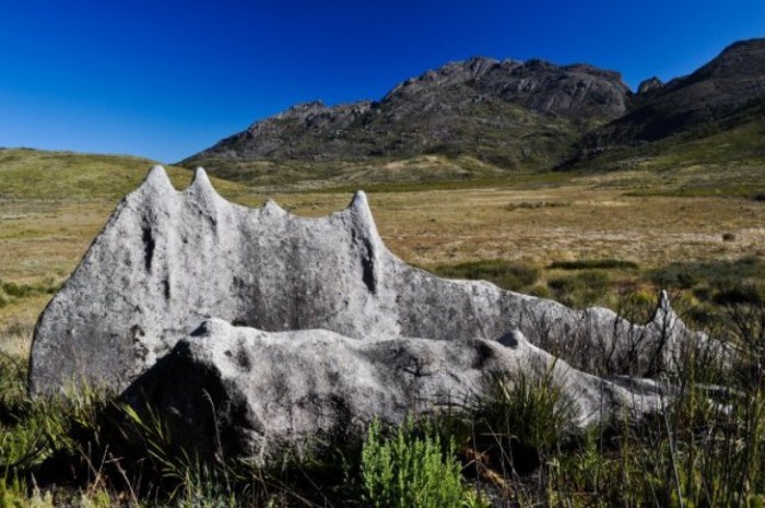 Parque Nacional do Itatiaia recebe doação de 52 hectares