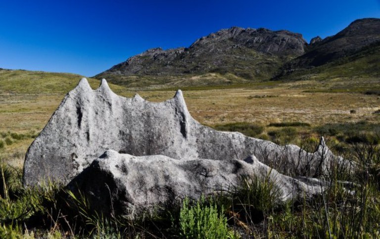 Parque do Itatiaia ganhou 52 hectares