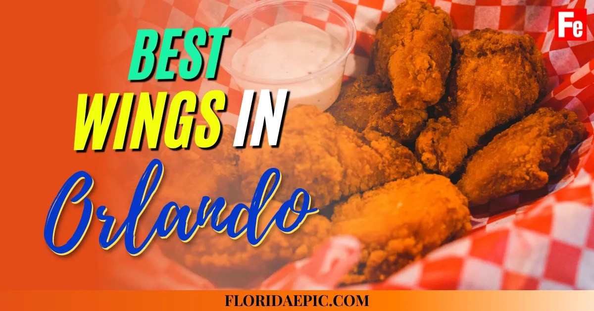 11+ BEST Wings In Orlando, Florida You Must Try Florida Epic