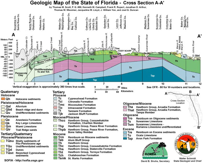 Geologic Map Florida Florida Geology Etsy Land 
