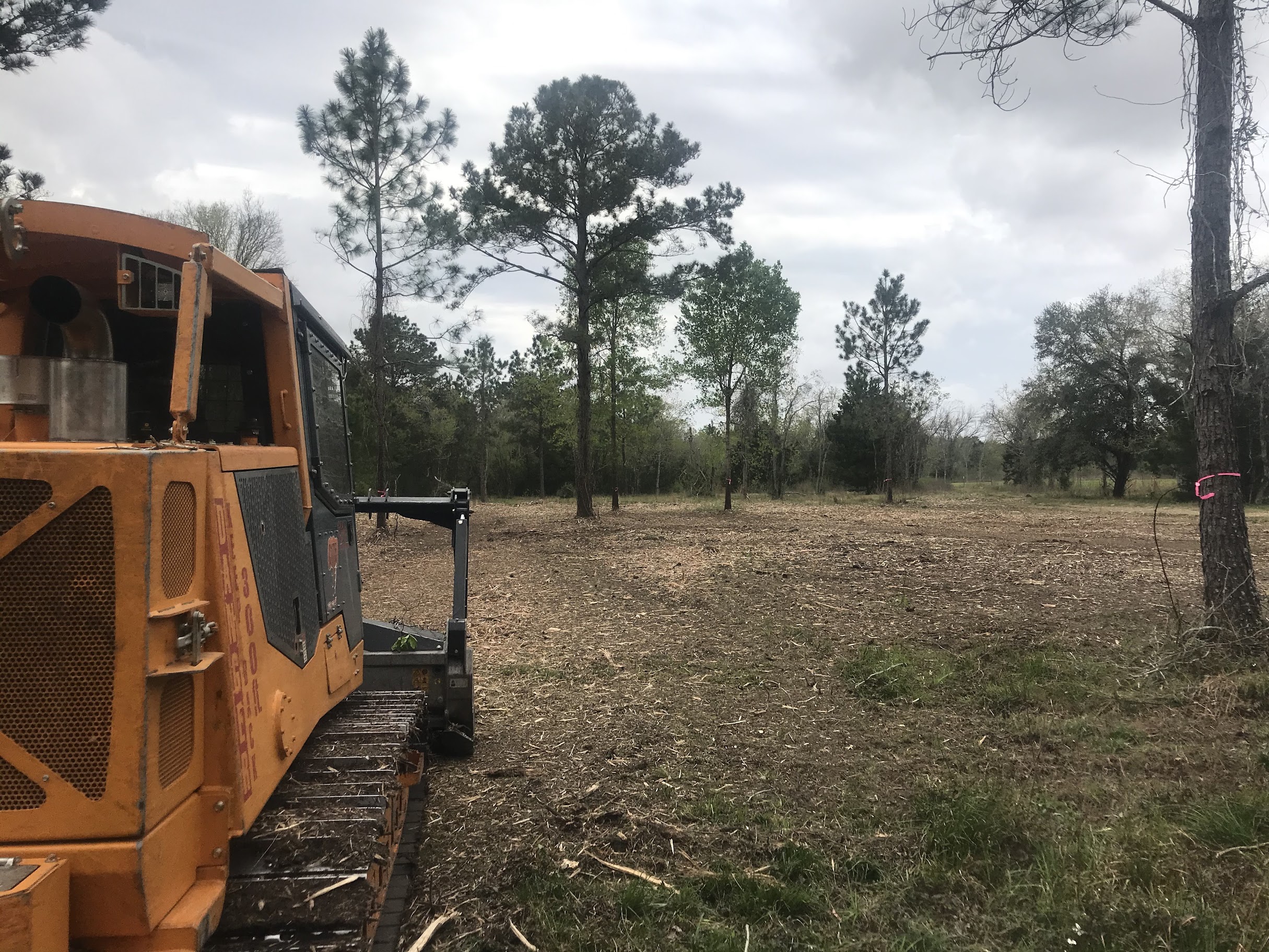 Land clearing and brush removal in Florida