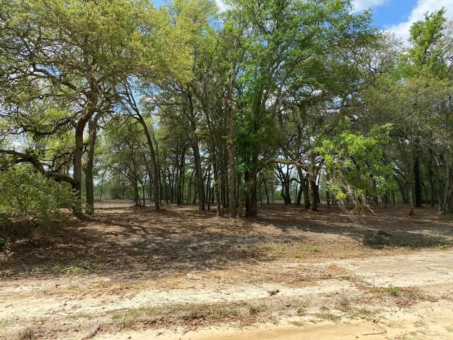 Benefits of Land clearing services
