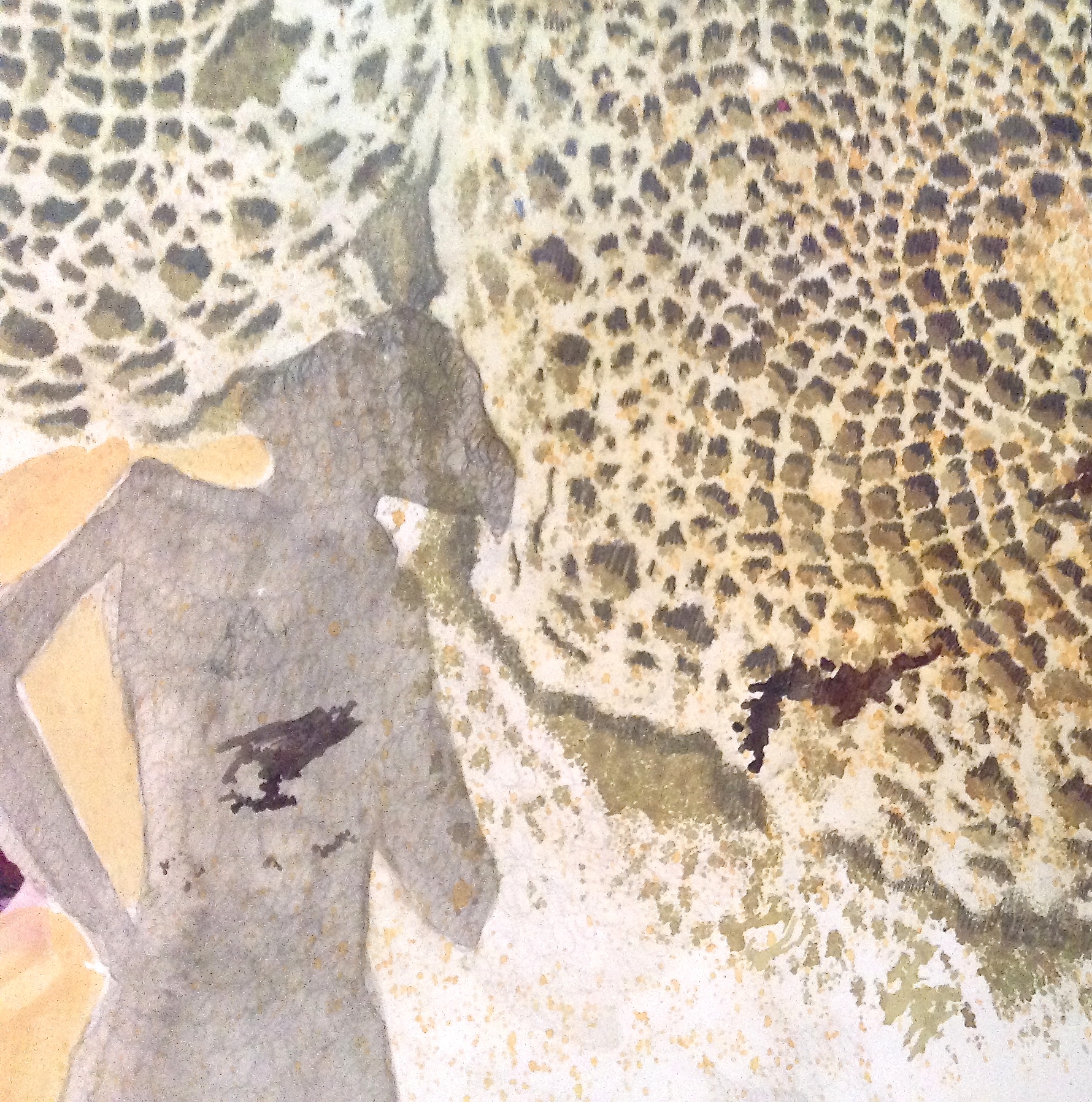 Domesticide detail 3
