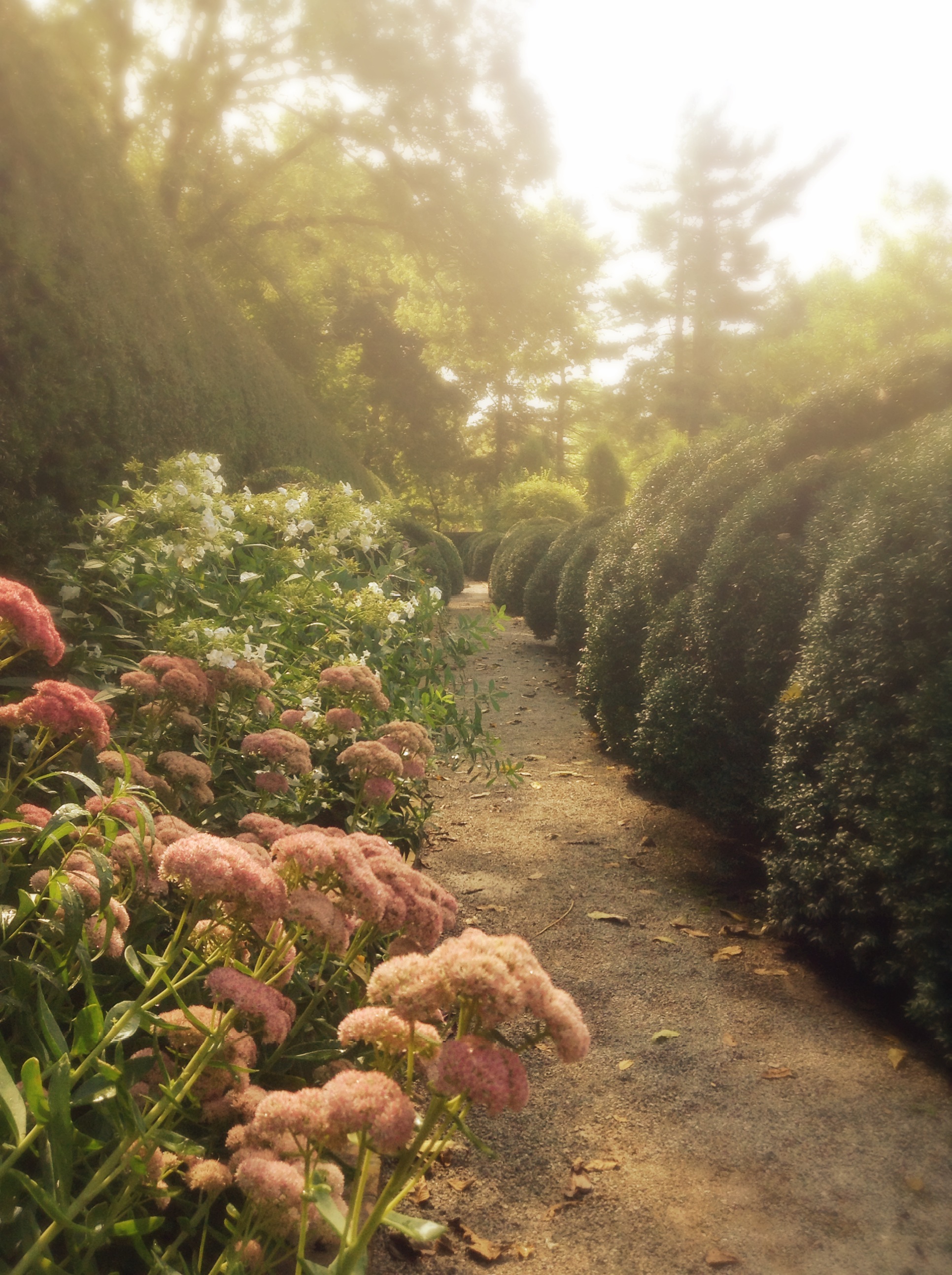 Gardening