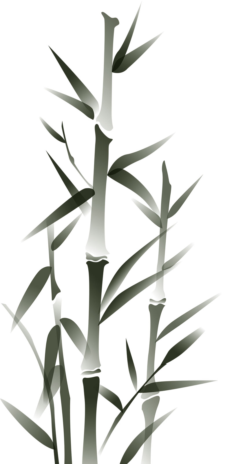 竹水墨畫 フリー 竹點のイラスト素材 クリップアート素材 マンガ素 Omukp 竹水墨畫 フリー 竹點のイラスト素材 クリップアート素材 マンガ素 Omukp