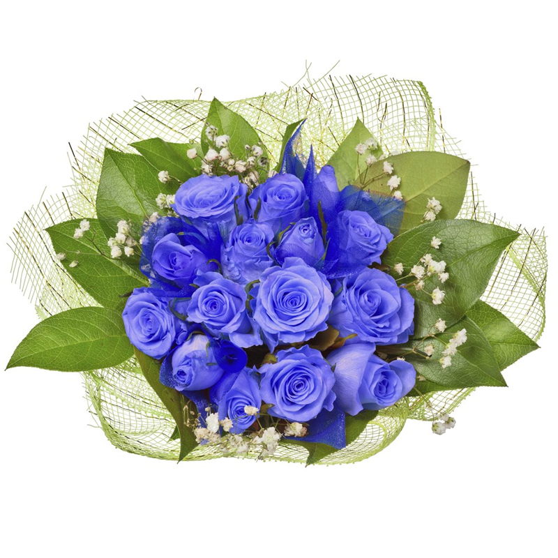 Blaue rosen
