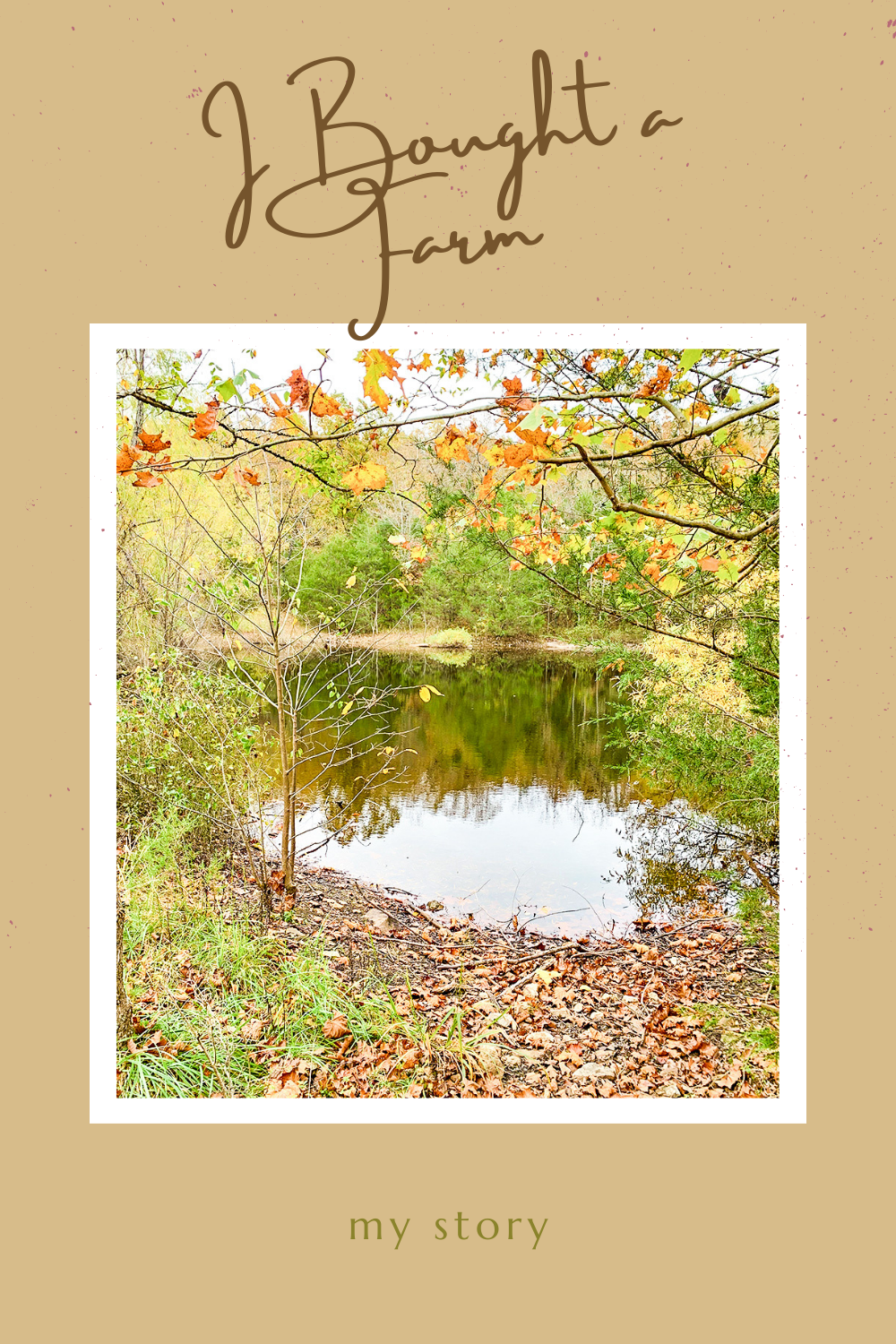 What Happened When I Bought an Abandoned Farm