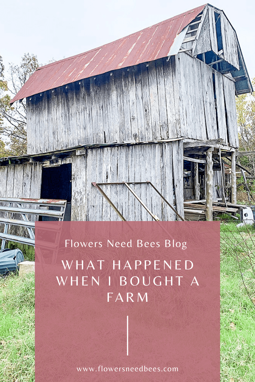 what happened when i bought an abandoned but wonderful farm