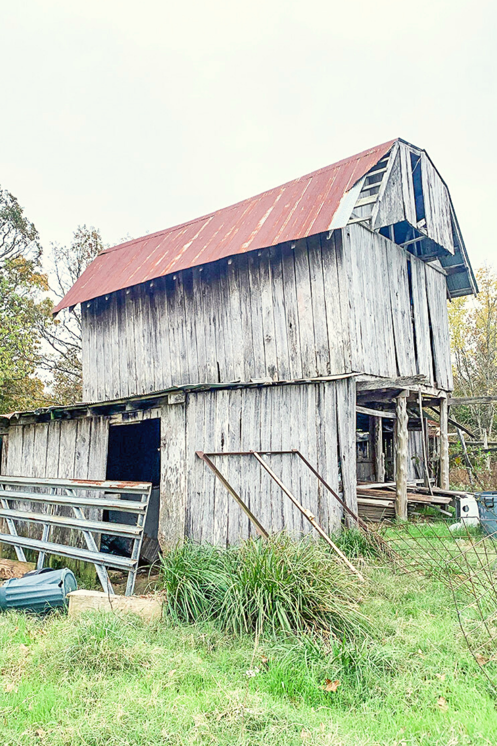 You'll Never Believe What Happened When I Bought an Abandoned Farm, image size:1000x1500