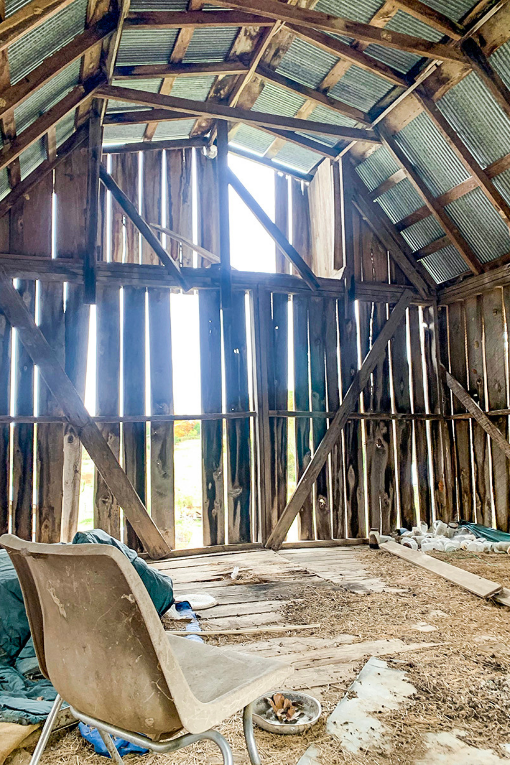 What Happened When I Bought an Abandoned Farm