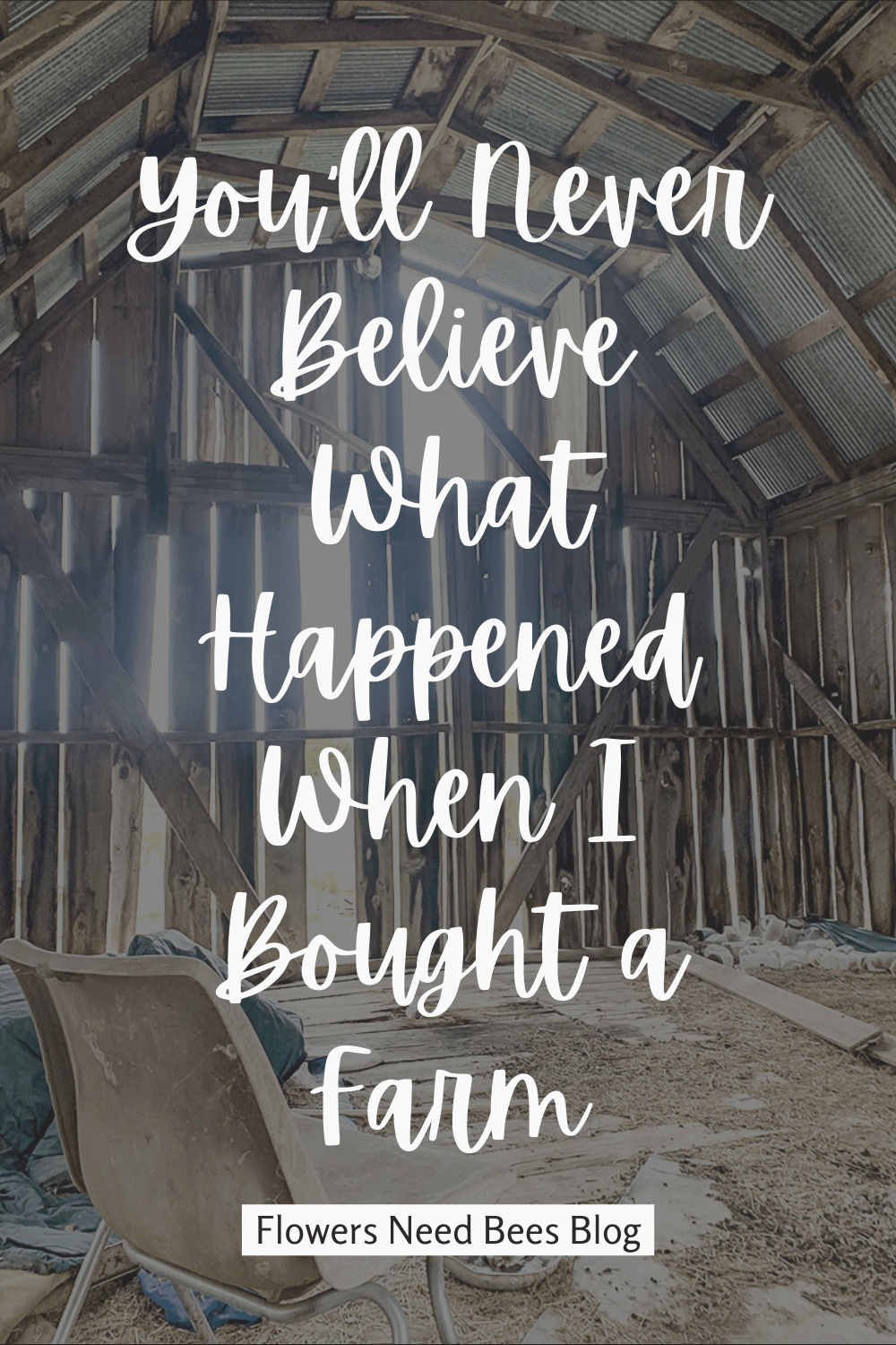 what happened when i bought an abandoned but wonderful farm