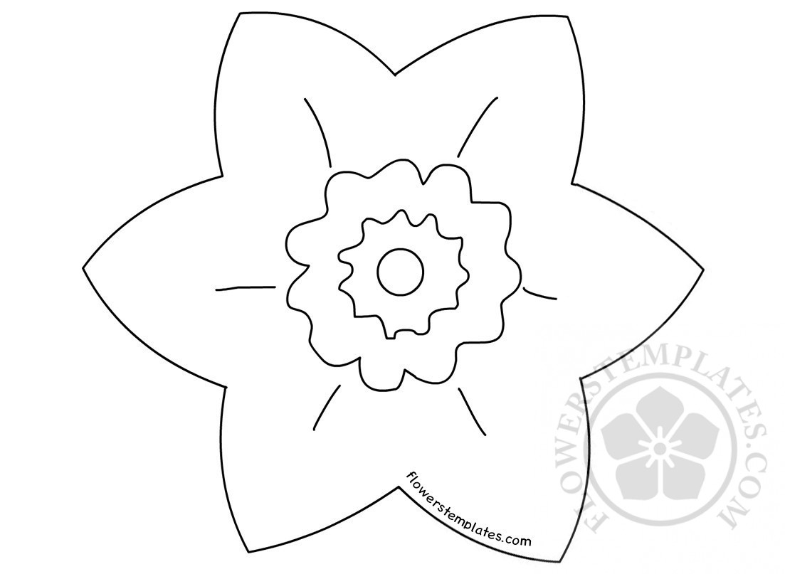 daffodil petal template6 flowers templates