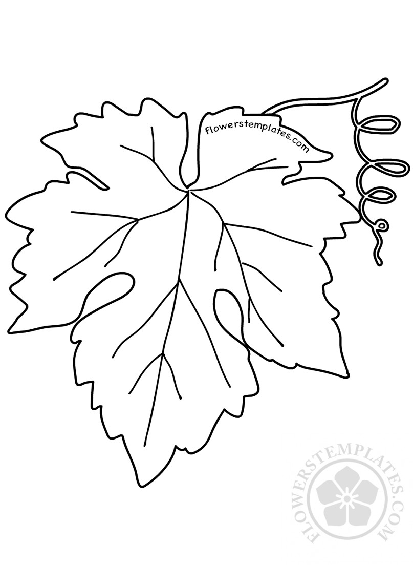 Download Vine leaf coloring page | Flowers Templates