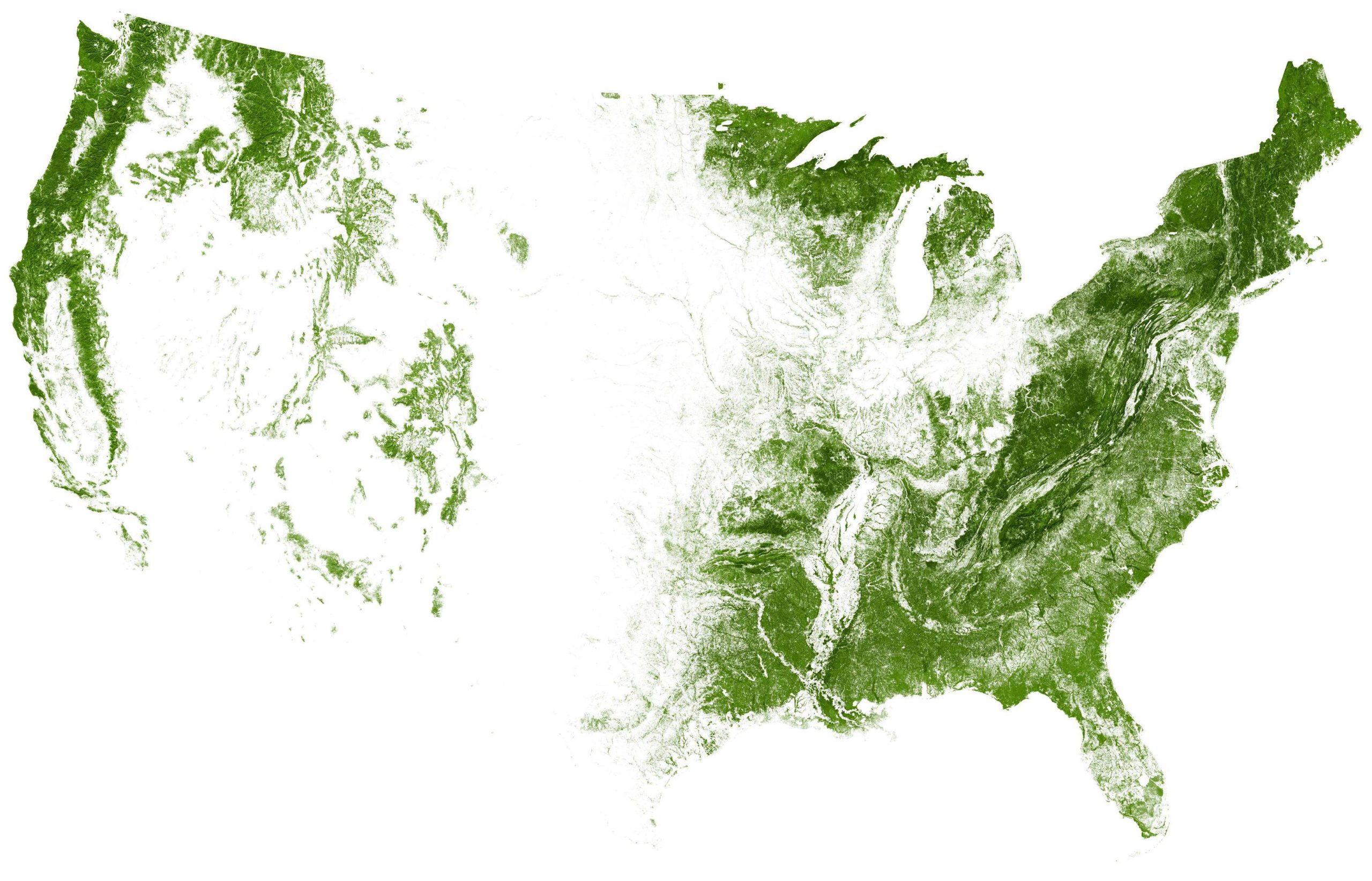 Map-of-trees-1-scaled.jpg?fit=2560%2C1644&ssl=1