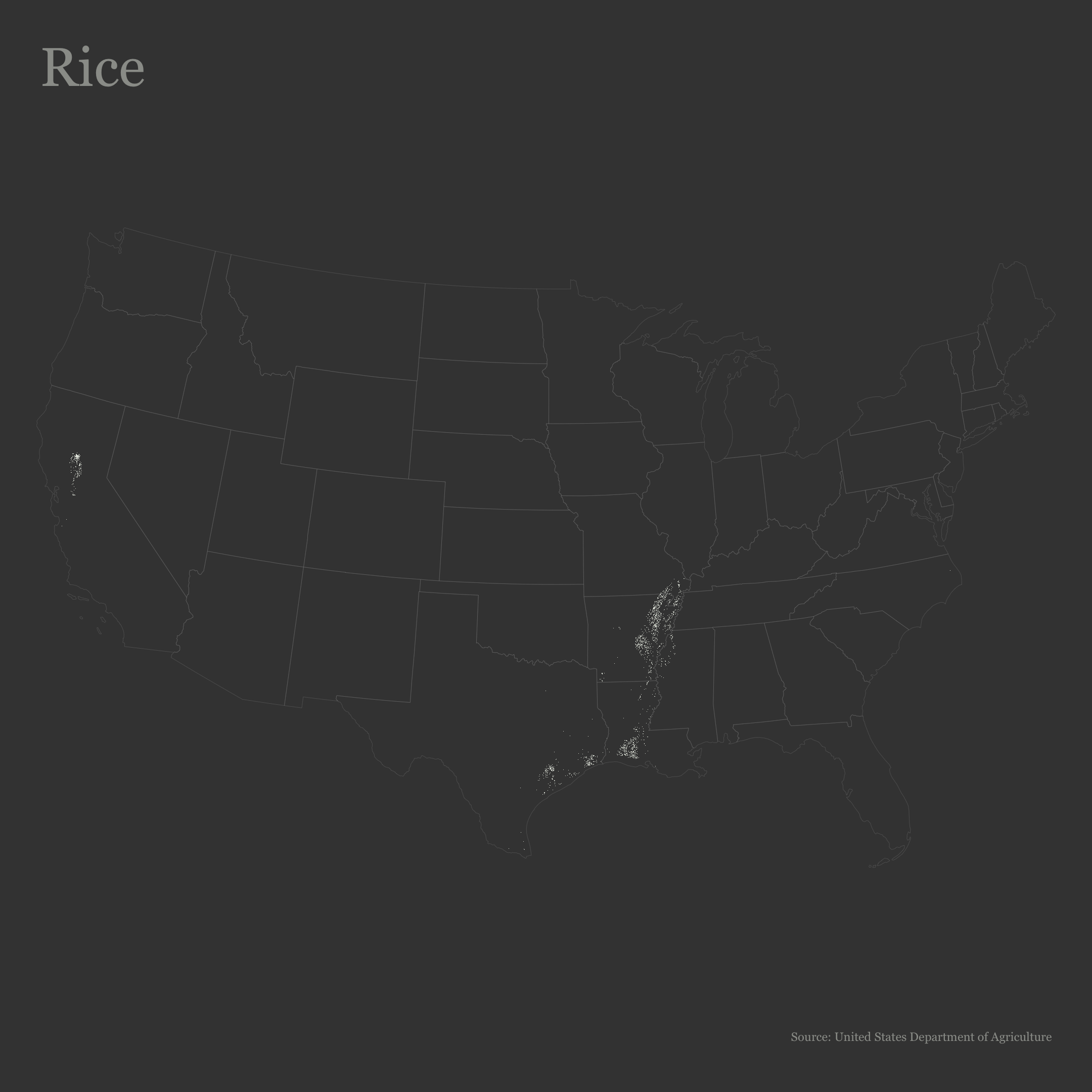 3-cropland-Rice