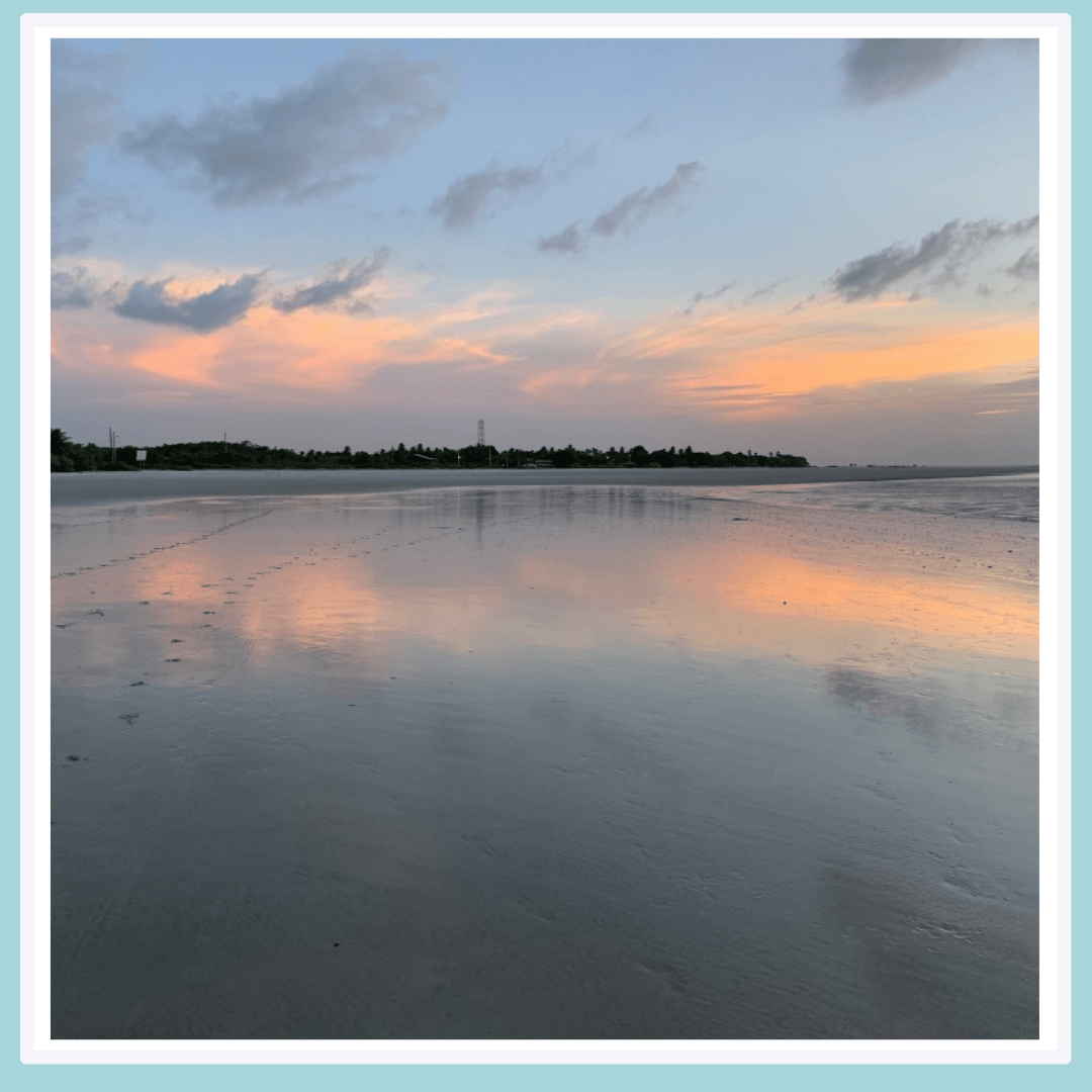 5 1 Blog