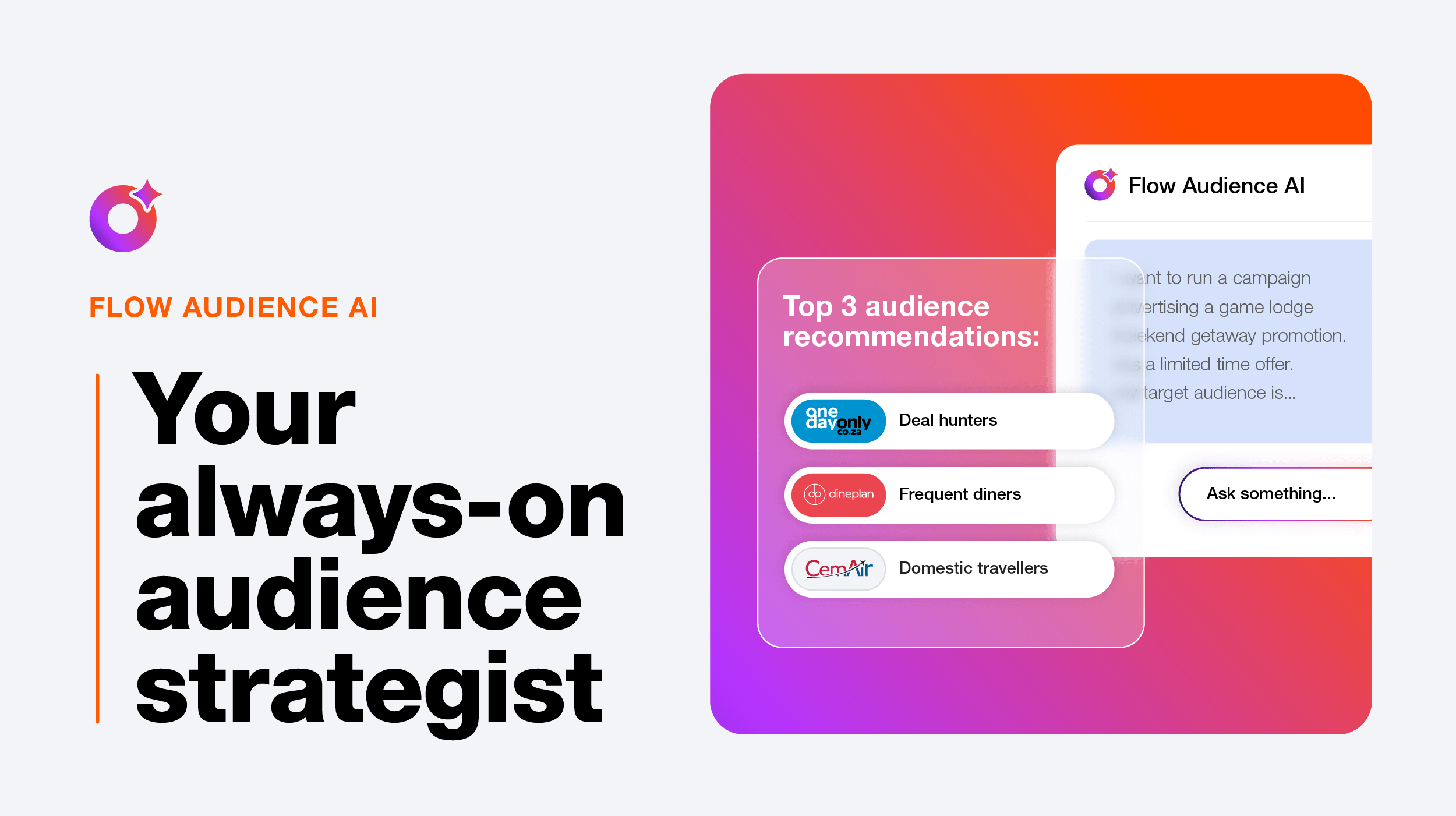 Flow Audience AI